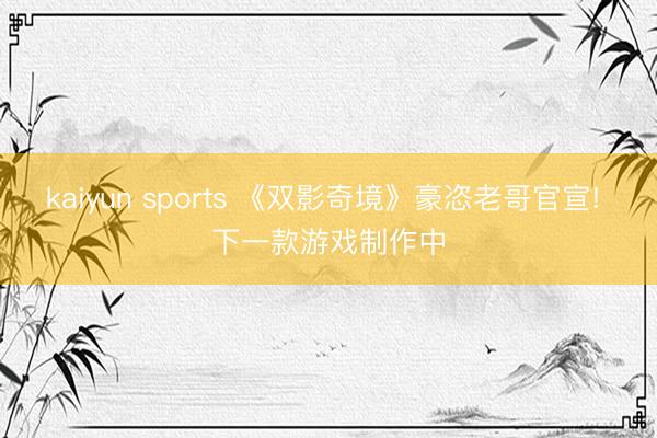 kaiyun sports 《双影奇境》豪恣老哥官宣! 下一款游戏制作中
